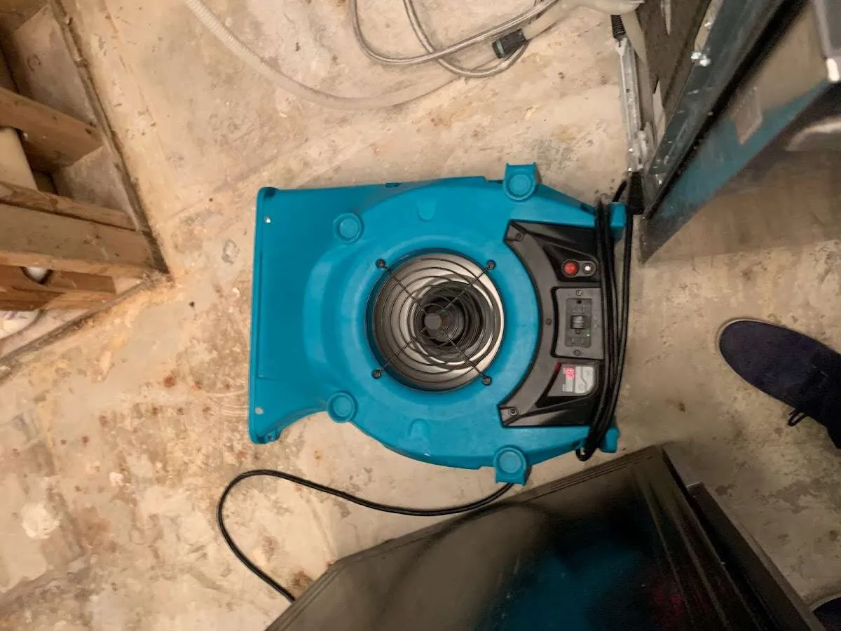 Air mover drying equipment for Mold Remediation & Removal in Milpitas